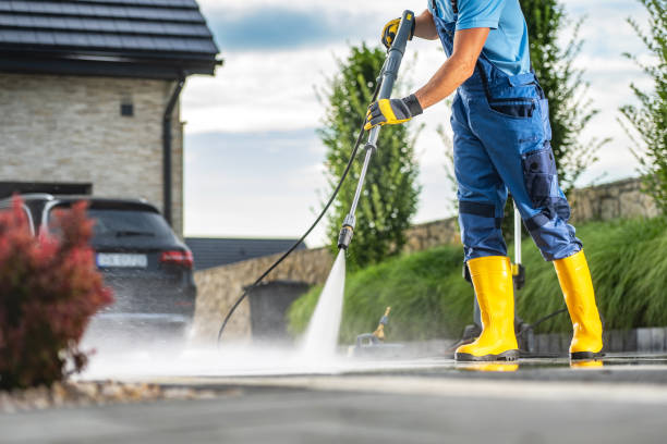Best Affordable Pressure Washing  in Wayland, IA