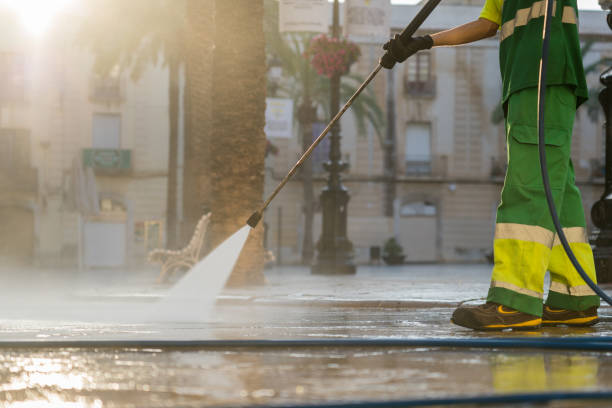 Best Exterior Home Cleaning  in Wayland, IA