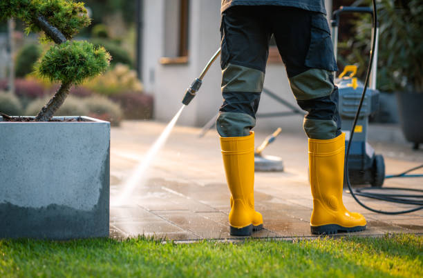 Best Concrete Pressure Washing  in Wayland, IA
